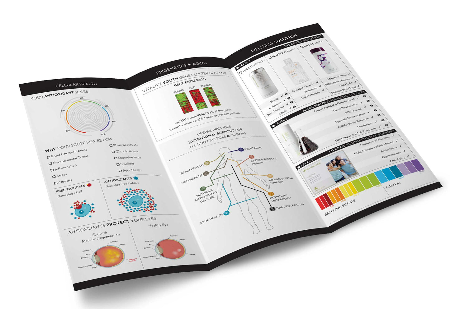 Get Healthy & Eye Brochures