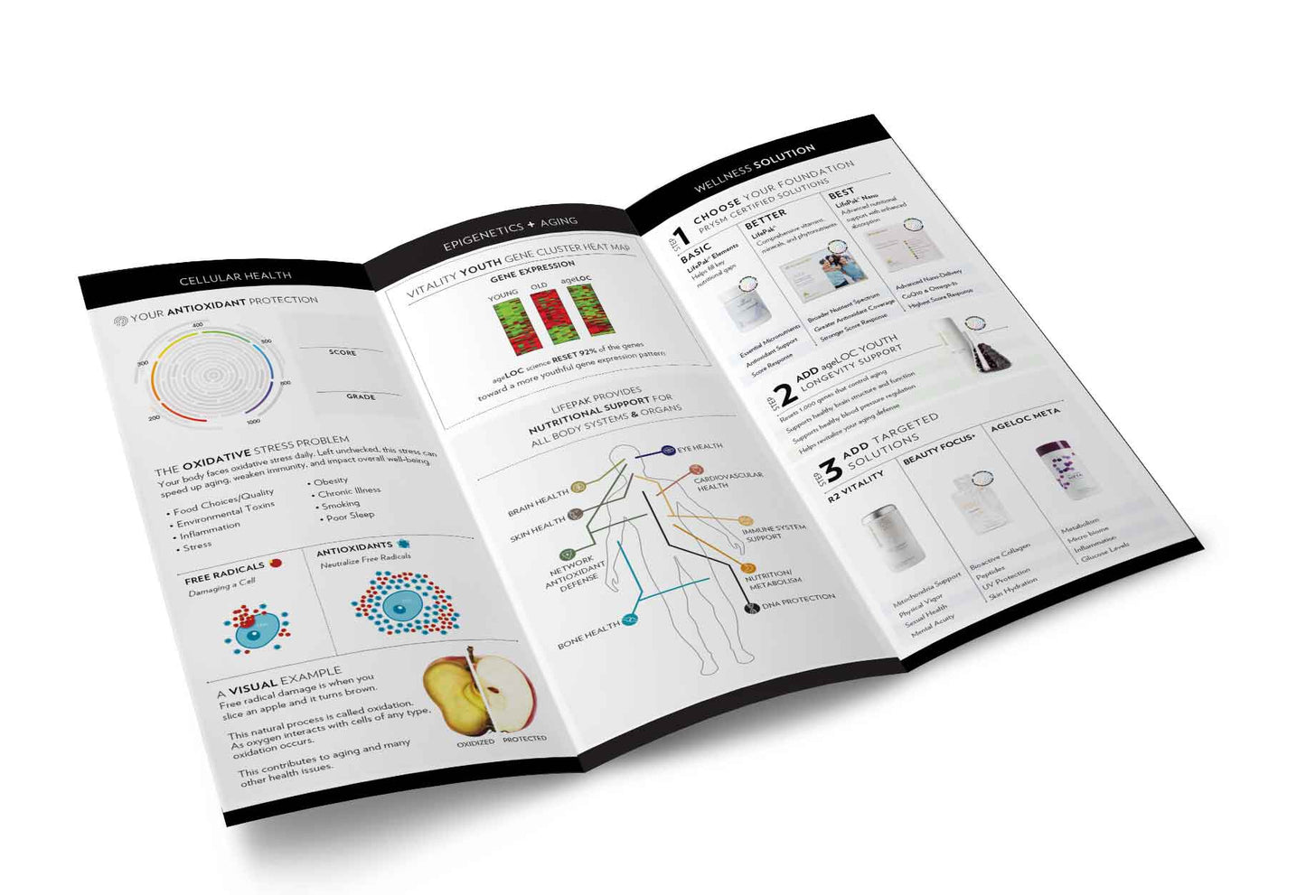 Scan to Close Brochure